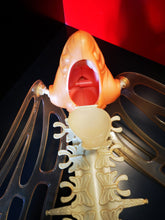 Charger l'image dans la galerie, princesses du pouvoir nymphea